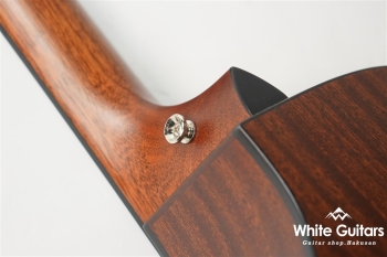 312ce 12Fret V-Class